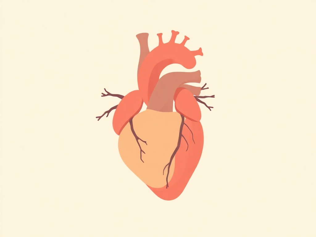 cardiovascular health image